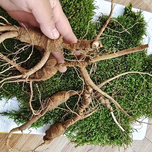 �����g������ɽ����΢���r�����r����؛ ��ǰ�����մ_�J