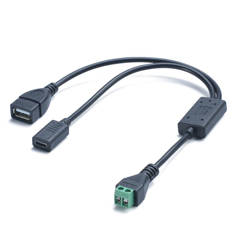 2P Terminal Dc Step-Down Adapter to Type-C Female + USB Female Splitter with 3A Current Compatible with Smart Device Power Supply