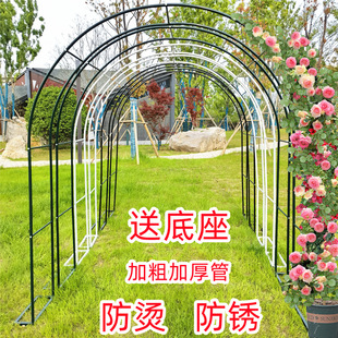 New Wrought Iron Flower Stand Climbing Garden Villa Balcony Plant Support Clematis Outdoor Rose Grape Trellis Arch Factory