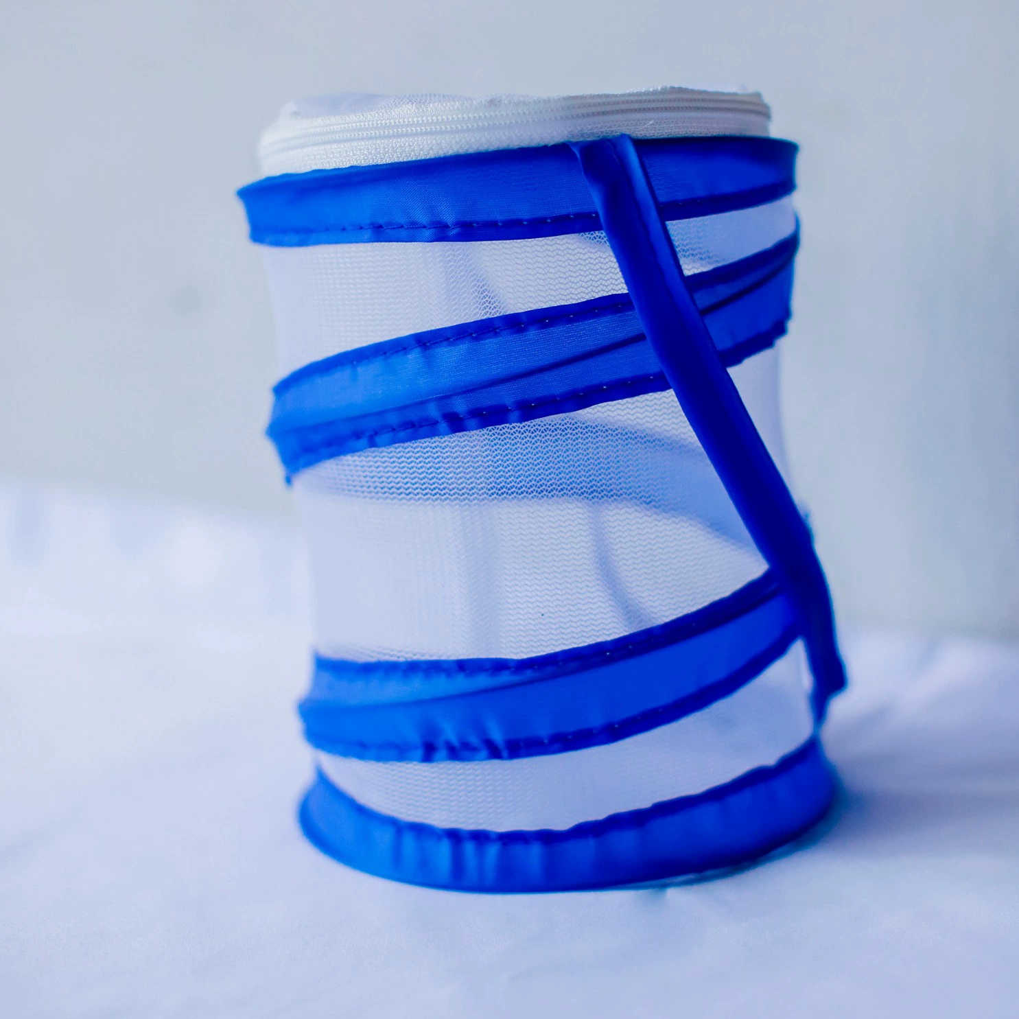 Малый Размер Портативный бабочка Кейдж ПВХ Детская Складная Клетка для домашних животных Анти-москитная клетка Насекомое Рептилия Кормление Box