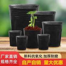 �I�B����������������籭����РI�B���I�B���Ӻ�����һ���Ի���