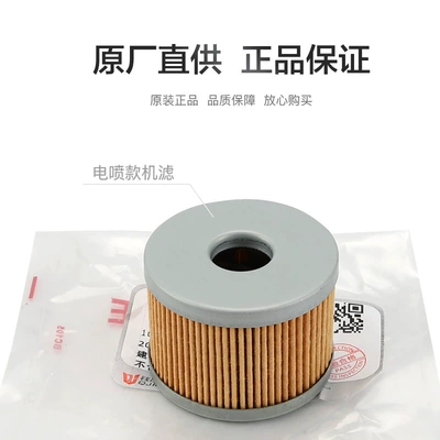 Benelli Red Baolong TNT150i Air filter