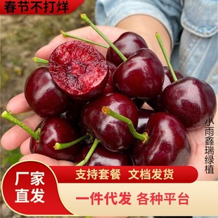 һ�����l����Ҙ���܇�����箔��Y���Ϸ������Nֲ�������Ե��Լ�