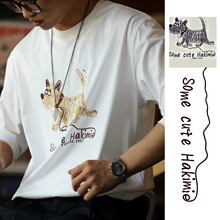 ¹ lTfСLT260gȫʽecleanfit