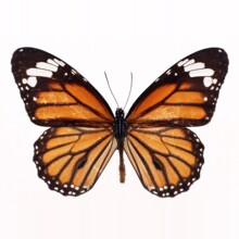 ������˱����x�˱��߽̾̌W�˱�DIY��չ������Է���b���ó�