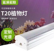 T20植物灯管花卉上色加UV多肉补光灯水培蔬菜室温大棚植物生长灯