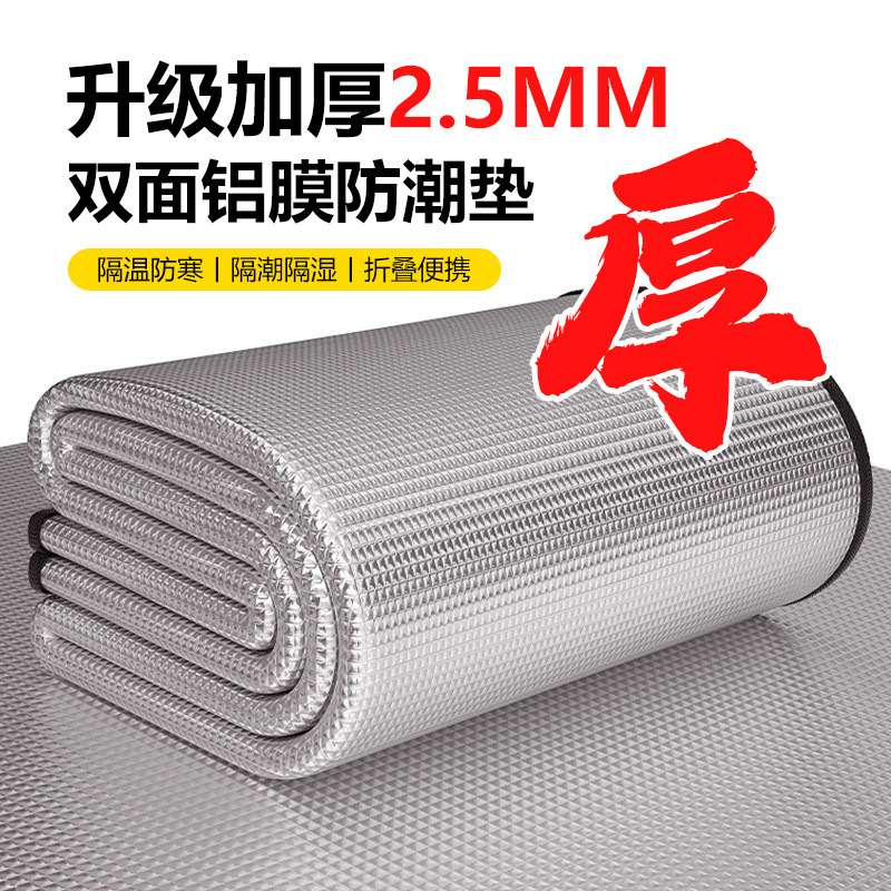 Factory Direct Sales 2.5mm Thickeneded Double-Sided Aluminum Film Moisture-Proof Mat Grass Mat Tent Mat Picnic Camping Style Mat