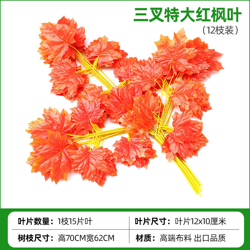 삼차 붉은 단풍 나무 잎 (12 가지)