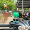 Frog shaking music