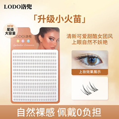 洛兜15排小火苗下睫毛自然仿真透明單簇分段式下眼睫毛