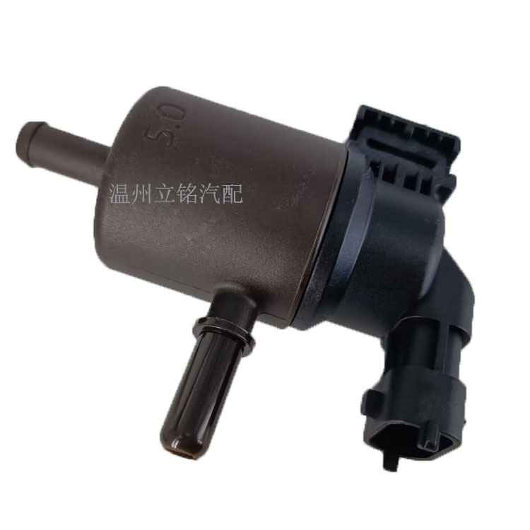 Factory Direct Carbon Canister Solenoid Valve Valve 28910-2S000 289102S000 for Hyundai / Kia