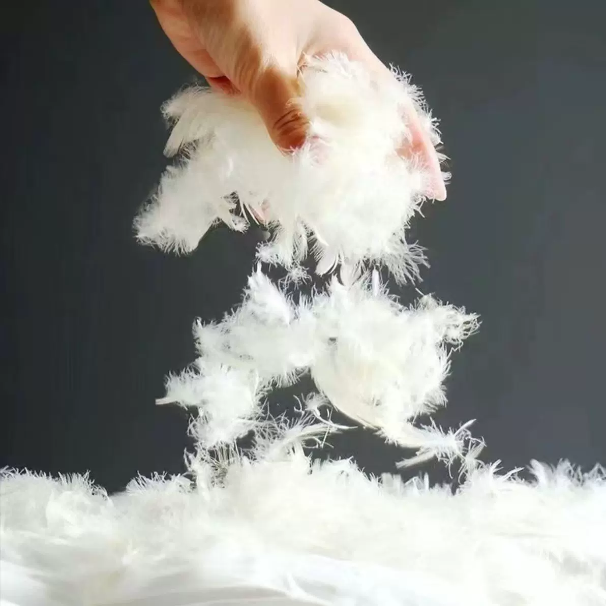 丰华羽绒2-4cm水洗白鹅毛片 质量保证酒店羽绒沙发靠垫抱枕填充物