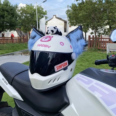 Motorcycle Helmet, Universal Auto Parts and Accessories