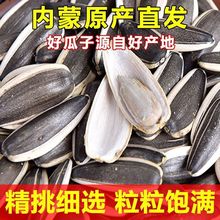 瓜子新鲜生葵内蒙产地直发新鲜饱满葵花籽 新货原味新鲜生