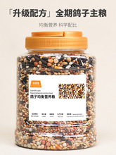 鸽子食粮饲料鸽粮信鸽赛鸽种鸽专用营养粮食用品带玉米小颗粒豌豆