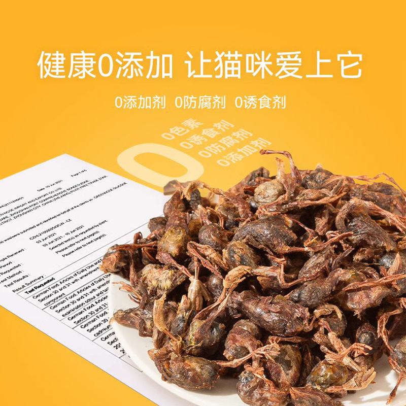 Alimentos nutritivos para perros adultos, perros, perros