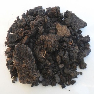 ��ș��ɽ��Ѫ1����  ����Ѫ Ұ��Ѫ ��Ѫ ��ɽ��Ѫ