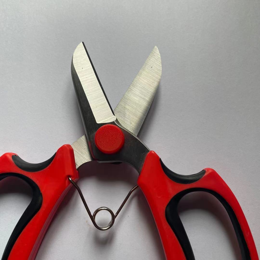 ΢��ͼƬ_20210319105936