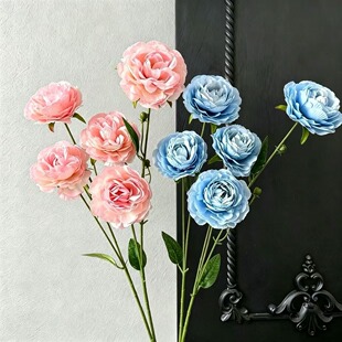 �ٻ��ֹ�����¶���滨�����쾰�̈���ꐲ��ò廨��ˇ�Ҿ��b�