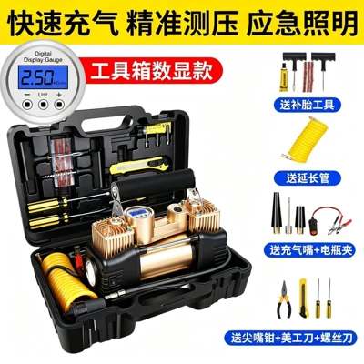 Tire Inflator, Dual-Use for Home | Hava nasosu - gold-digital-display-tool-box-sponge-handle