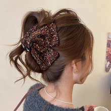 ץ�AŮ�߼���2025�¿����~�A��̖���|���ǰl�A���X�ױP�l�l���^�