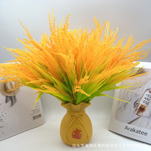 �羳����7�����뵾�ȷ��滨�� ˮ����@���̵���ֲ���쾰���[��