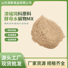 Ӣ�R�����ԭ�ϰĸ���ĸˮ����MX�Bֳ�����i���������l�u���