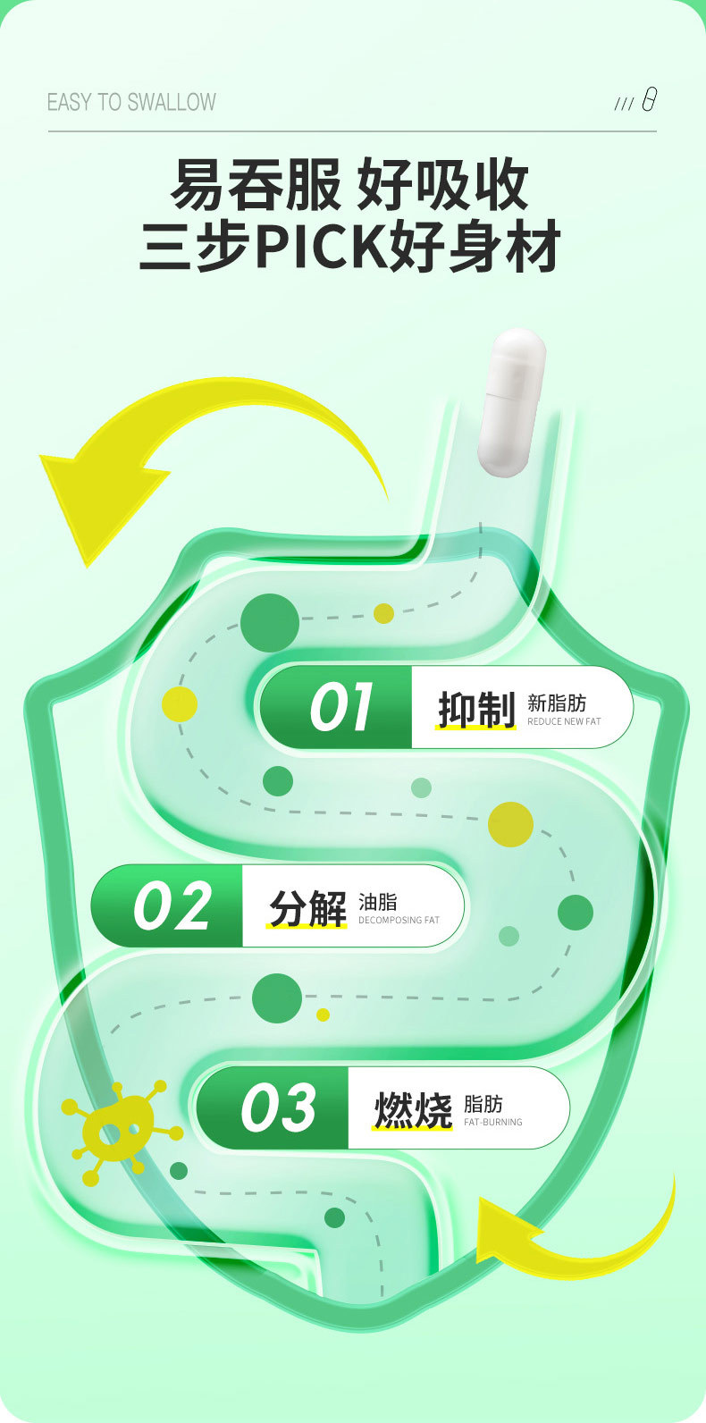 L-Carnitine Capsules with Chitosan for Adult Daily Wellness 10 Capsule Box specifications