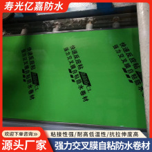 聚合物改性沥青强力交叉膜sbs/APP/pon耐寒耐高温防水卷材材料