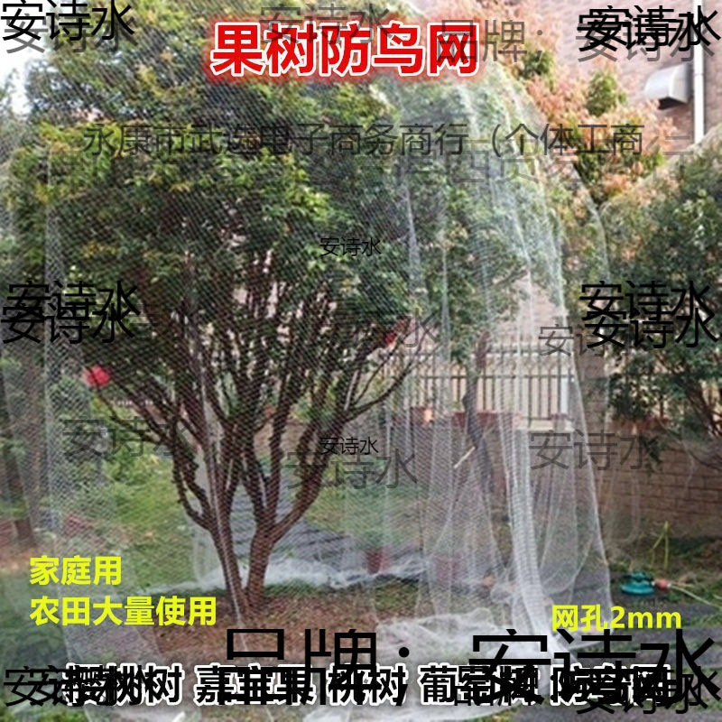 果树防鸟网 樱桃树枇杷树嘉宝树防鸟罩尼龙网葡萄园挡鸟拦鸟网子