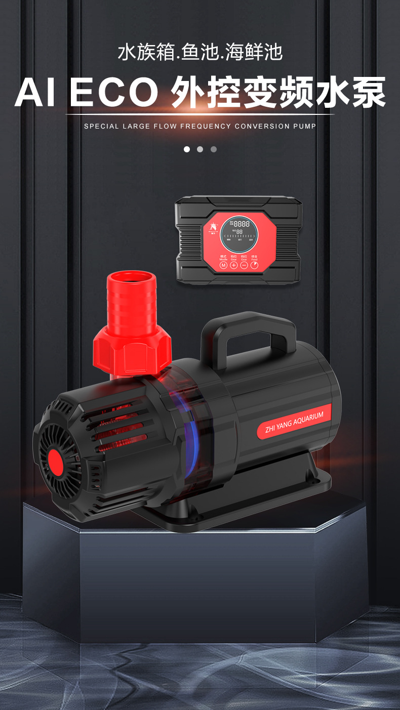 For details design of the frequency pump 2_01.jpg