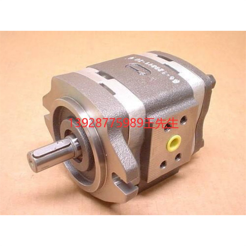 VOITH泵IPCA6-64-151 IPCA6-80-151 IPCA6-100-151 IPCA6-125-151