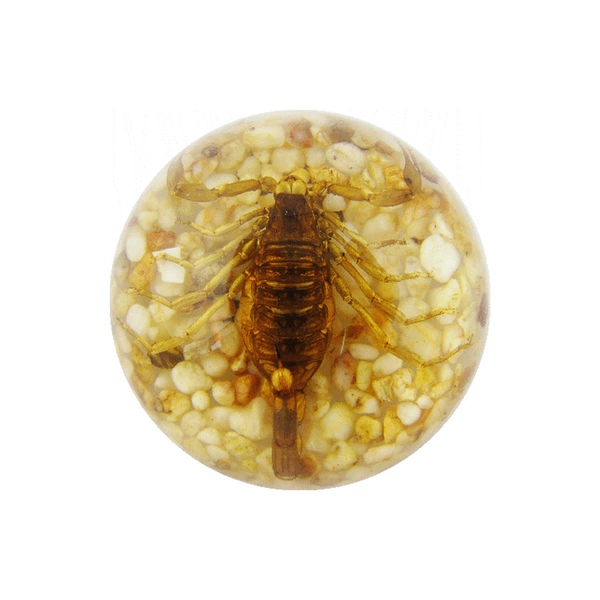 6.4cm semicircle gravel yellow scorpion