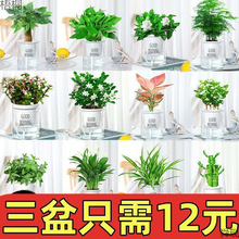 �҃Ȼ����k���ҾGֲ����ˮ����B�k�����͏dС�����_���G�}�lؔ��