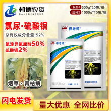 ���ώ� 52%���宐�����������~ֲ�����ݲ���������rș������
