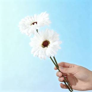 �羳��Ʒ���޾ջ����滨�͏d�Շ��b[����ˇ�[���zӰ���߼ٻ�