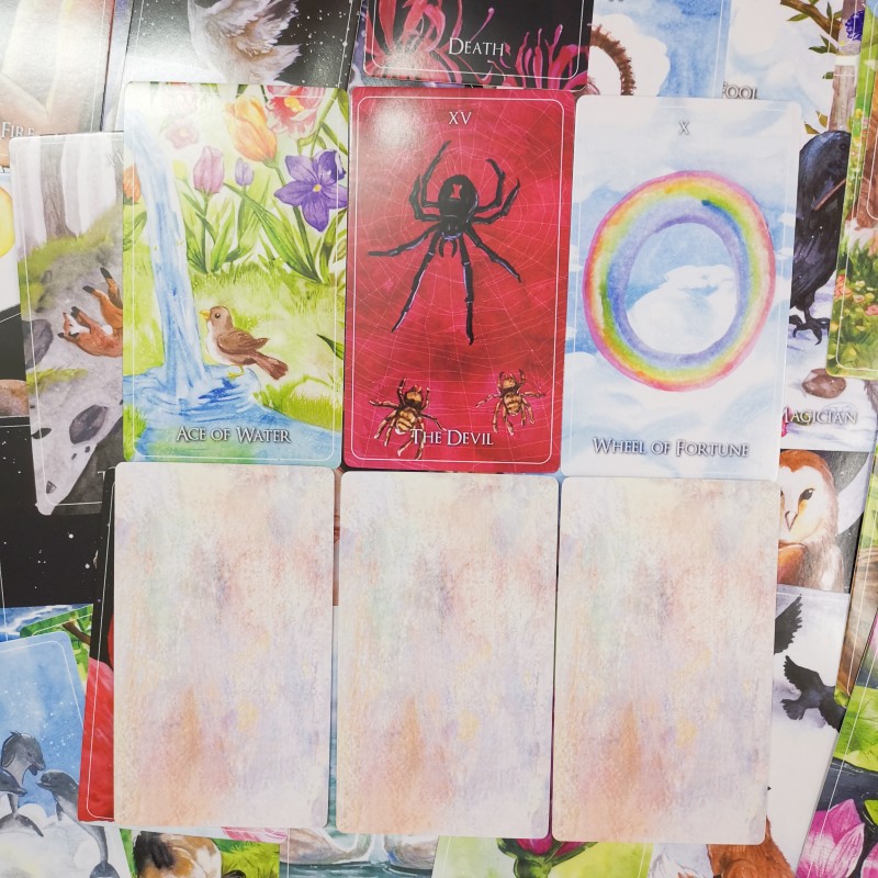 Spot new Wilder Son Tarot Wild Child Tarot Card with English paper instructions 4