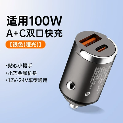 QC3.0 wholesale – Mobil şarj cihazları - naked-max100w-invisible-pull-ring-a-c-silver-matte-aluminum-alloy
