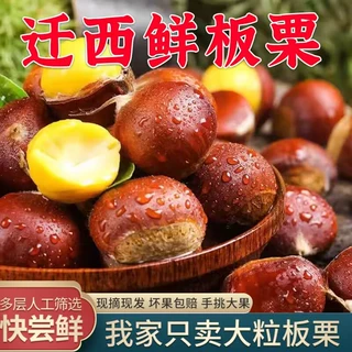 正宗新鲜迁西遵化板栗3113百年老树燕山勾七生栗子5斤装香甜软糯