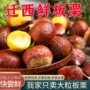 燕山迁西香甜老树板栗
