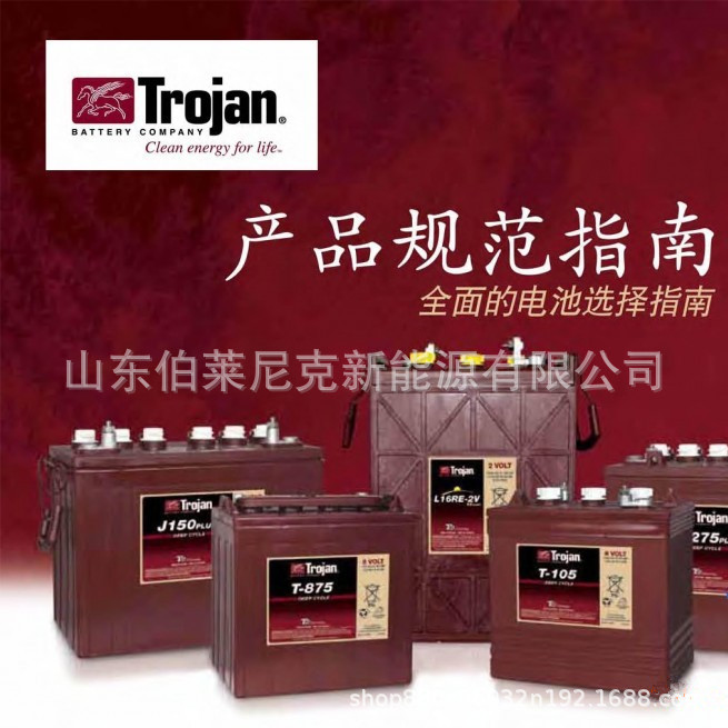 T-875电瓶车蓄电池厂家批发 高尔夫球车电池DT876现货供应