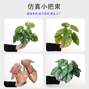 �羳 ����Gֲ9�~�������������@�־��^�����쾰�b��҃ȿ͏d�廨