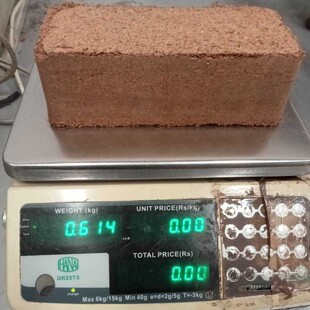 620��Ҭ�u�I�B���B��ͨ���ͷNֲҬ���u�̨�N������СҬ���u���l