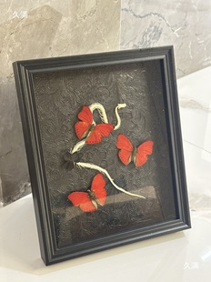 С�����Ɣ[������˱����ߺ�Ҋ�Y������˱��쮋���ֵ��Ů�ѹ�