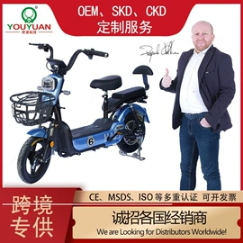 电动摩托车;电动自行车;电动三轮车