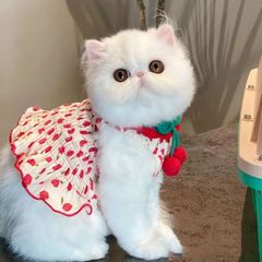 犬ペット服夏サスペンダースカートビションテディ犬子犬猫プリンセスベストスカートかわいい薄いスタイル