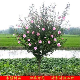 ľ�Ȼ����ذ��Ϸ������Nֲ���Ե����ļ�����ͥԺ�L�����ܘ�����]