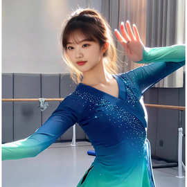 古典舞练功服女一条大河舞蹈服上衣绝美飘逸仙气演出服装纱衣
