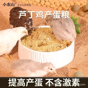 С�rɽ�J���u��Ϯa���Z�µ�С�u���u���r�_�ڼZ�R���uʳС�w��