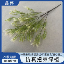 ��cɭϵ�Gɫϵ�����~�ӻ�Y���b��Ż��ٻ��Gֲ�J���ݷ��滨��